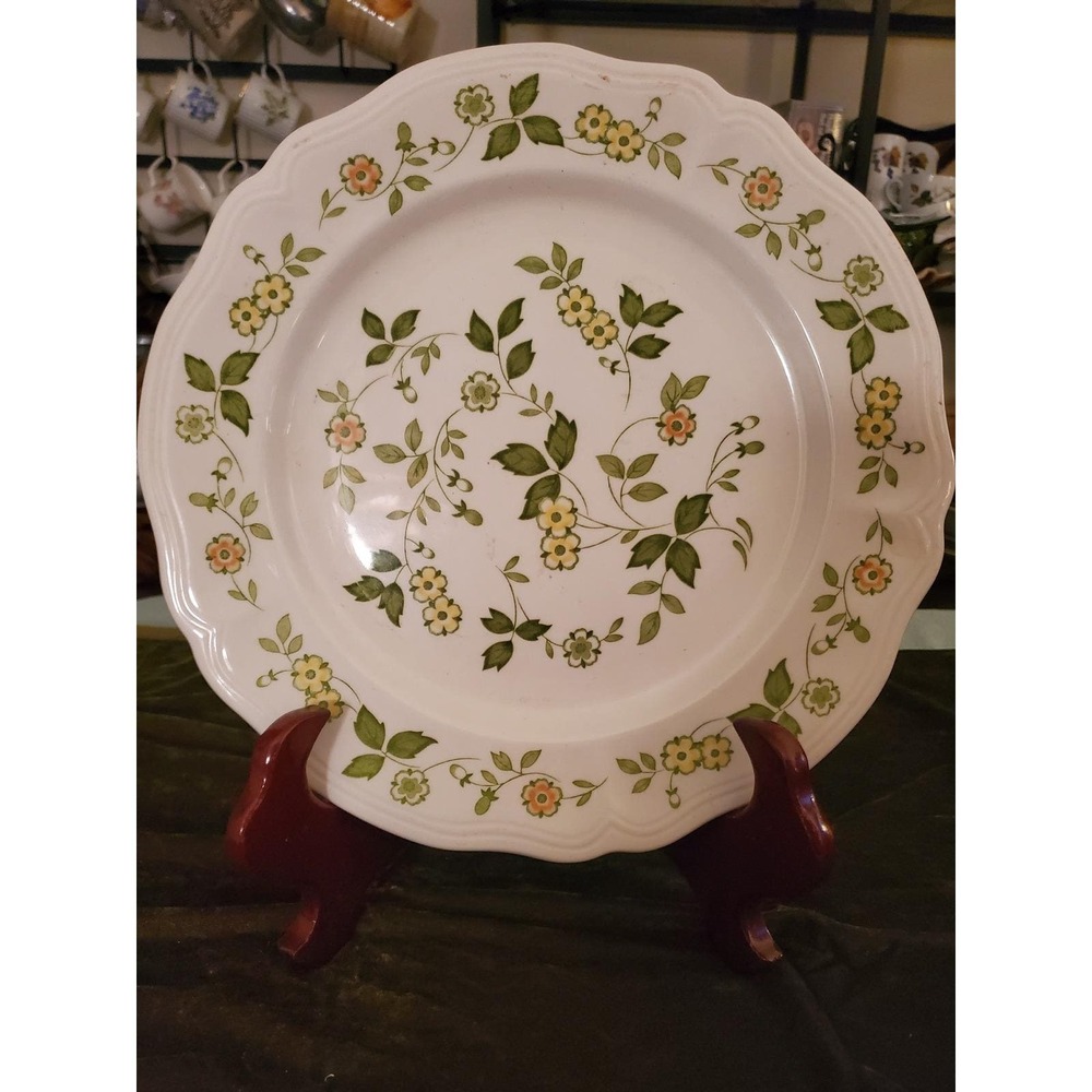 😎Sears Petite Flora Ironstone Plate Floral Vine Dinnerware Display Plate